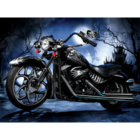 Suns Out 1000pc Skeleton Ride Jigsaw Puzzle