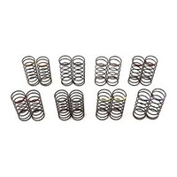 Team Durango Big Bore Spring Set: 45mm Length (8 Pairs)