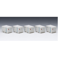 Tomix N UR4 Container, 5 x J.O.T. container