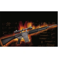 Trumpeter 1/3 AR15 / M16 / M4 Family - SR26 01913 Plastic Model Kit