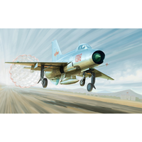 Trumpeter 1/48 J-7A Fighter 02859 Plastic Model Kit
