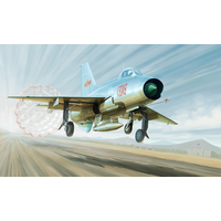Trumpeter 1/48 J-7A Fighter 02859 Plastic Model Kit