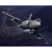 Trumpeter 1/144 French Rafale M 03914 Plastic Model Kit