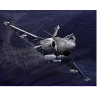 Trumpeter 1/144 French Rafale M 03914 Plastic Model Kit