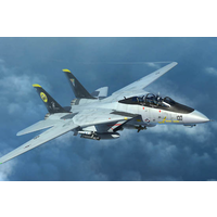 Trumpeter 1/144 F-14D Tomcat
