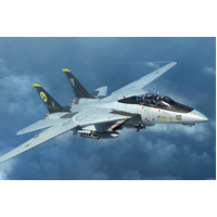 Trumpeter 1/144 F-14D Tomcat