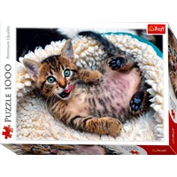 Cheerful Kitten 1000pc