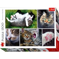 Trefl 1500pc Just Cat Things! Jigsaw Puzzle