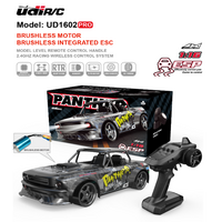 UDI 1/16 Panther 2.4G RTR 4WD Brushless High Speed Car