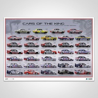 V8 Sleuth Cars Of The King, Brock's Bathurst Entries 1969-2004, Limited Edition Print