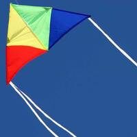 Windspeed Junior Delta Single String Kids Kite