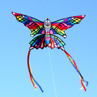 Windspeed Rainbow Butterfly Single String Kite