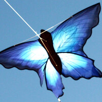 Windspeed Ulysses Butterfly Single String Kite