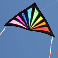Windspeed Sunrise Delta Single String Kite