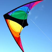 Windspeed Stinger Wingspan Kite
