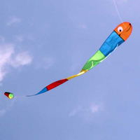 Windspeed Wilma Worm Single String Kids Kite