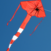Windspeed Spider Delta Single String Kids Kite