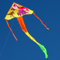 Windspeed Dinosaur Delta Single String Kids Kite