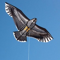 Windspeed Eagle 1.85 Kite