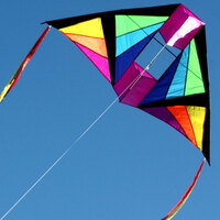 Windspeed Cell Delta Single String Kite