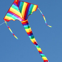 Windspeed Rainbow Delta Single String Kids Kite