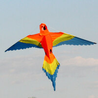 Windspeed Lorikeet Bird Single String Kite