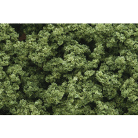 Woodland Scenics Clump-Foliage Light Green Large Bag FC182