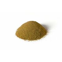Woodland Scenics All Game Terrain Ground Base Layer