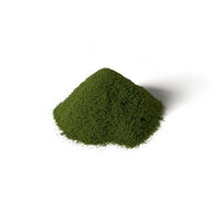 Woodland Scenics All Game Terrain Spring Grass