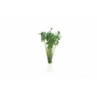 Woodland Scenics All Game Terrain Dark Green Shrubs Tufts