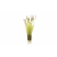 Woodland Scenics All Game Terrain Cattails Tufts