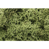 Woodland Scenics Lichen - Spring Green L161