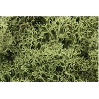 Woodland Scenics Lichen - Spring Green L161