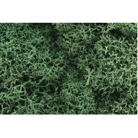 Woodland Scenics Lichen - Light Green L162