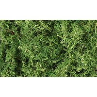 Woodland Scenics Lichen - Medium Green L163