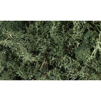 Woodland Scenics Lichen - Dark Green L164