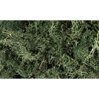 Woodland Scenics Lichen - Dark Green L164