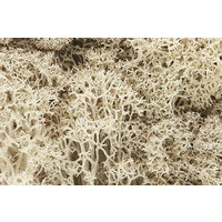 Woodland Scenics Lichen - Natural L166