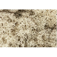 Woodland Scenics Lichen - Natural L166