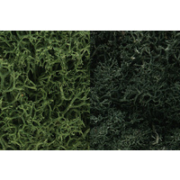 Woodland Scenics Lichen - Dark Green Mix L168