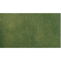 Woodland Scenics Green Grass Project Sheet RG5142