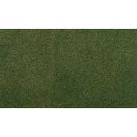Woodland Scenics Forest Grass Project Sheet RG5143