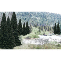 Woodland Scenics Evergreen Blend - 18/pkg TR1585