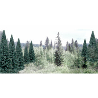 Woodland Scenics Blue Spruce - 18/pkg TR1587