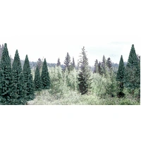Woodland Scenics Blue Spruce - 18/pkg TR1587