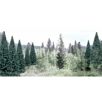 Woodland Scenics Blue Spruce- 13/pkg TR1588