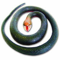 Wild Republic Rubber Snake Red-Bellied Black 46in