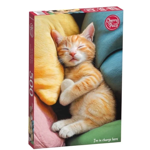 Product main image