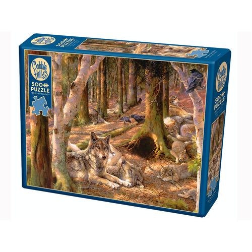 Product main image